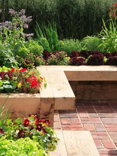 a garden filled with lots of different types of flowers