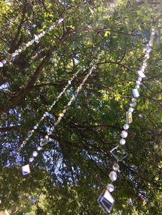 some glass bottles are hanging from a tree