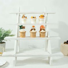 an assortment of cupcakes are displayed on a white shelf next to a potted plant