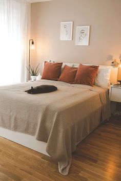 a cat laying on top of a bed in a bedroom