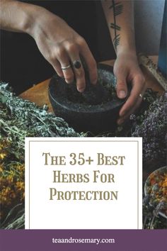 Protective Herbs Witchcraft, Protection Herbs Magick, Herbs For Witchcraft, Herb Meanings, Witches Protection, Protection Herbs, Master Tonic, Herbs For Protection