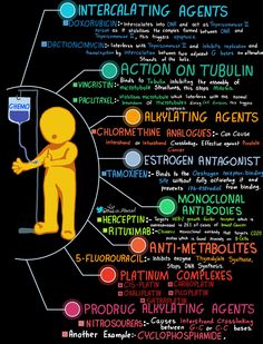 an info poster with different types of people and their roles in the textural process