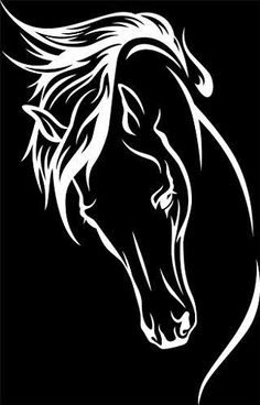 a horse's head on a black background