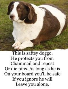 a brown and white dog sitting on top of a grass covered field next to a sign