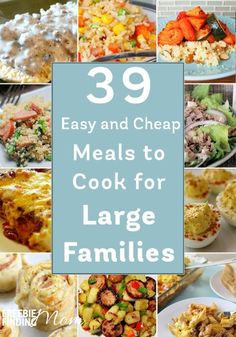 the cover of 39 easy and cheap meals to cook for large families, including rice