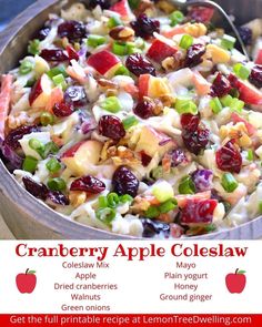 cranberry apple coleslaw recipe in a bowl