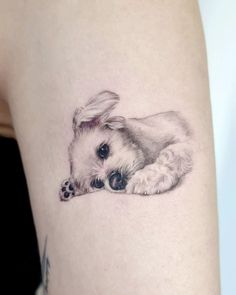 Maltese Dogs Tattoo, Maltese Dog Tattoo Ideas, Pet Tattoos Dog, Tattoo For Dog, Dog Inspired Tattoos, Anjing Maltese, Maltese Tattoo, Pet Tattoo Ideas, Tattoo Pet