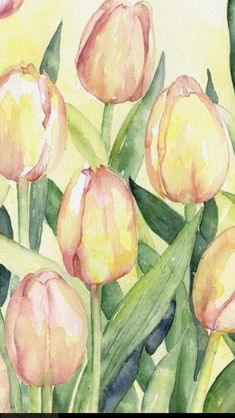 watercolor painting of pink and yellow tulips