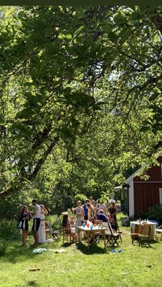 a group of people standing around a table in the grass under a large leafy tree