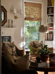 a living room filled with furniture and a fire place next to a book shelf full of books