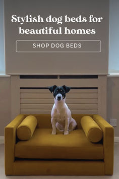 a dog sitting on top of a yellow couch in front of a sign that says stylish dog beds for beautiful homes