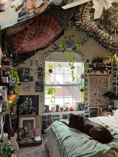 a bed sitting under a window in a bedroom next to a wall with pictures on it