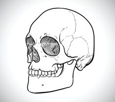 a black and white drawing of a human skull