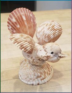 a seashell is sitting on top of a wooden table and has its wings spread out