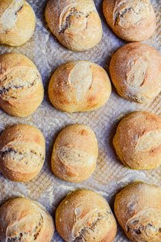 freshly baked bread rolls on a baking sheet