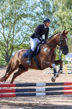 a woman riding on the back of a brown horse jumping over an obstacle with trees in the background