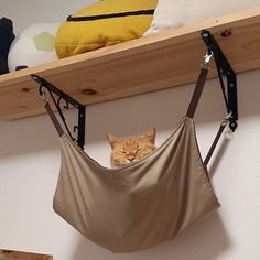 a cat sitting in a hammock hanging from a shelf