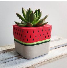 a potted plant with watermelon painted on it sitting on a wooden bench