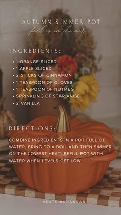 Pumpkin cast iron crock pot Sick Simmer Pot, How To Make Pot Pourri, Home Simmer Pot, Pumpkin Simmer Pot, Thanksgiving Simmer Pot, Cozy Fall Aesthetic Home, Fall Simmering Pot Recipes, Kentucky Homestead, Holiday Simmer Pot