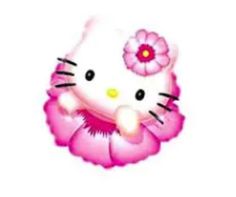 an image of a hello kitty with pink flowers