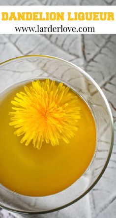 dandelion liqueur in a glass bowl with text overlay