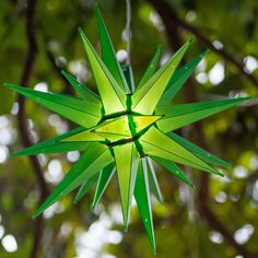 a green star ornament hanging from a tree in front of some leaves and branches