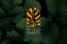 the logo for pedro martinis is surrounded by green leaves and orange hued colors