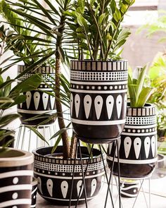 black and white pots with plants in them