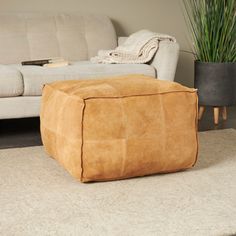 a living room area with a couch, coffee table and potted plant on the floor