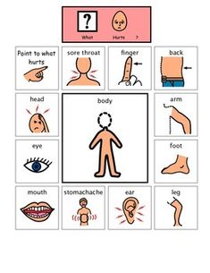 an image of different types of human body parts