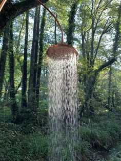 a shower head in the middle of a forest