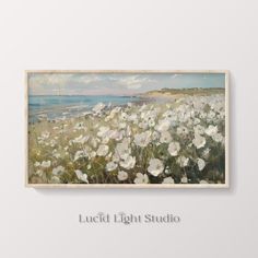 an oil painting of white flowers in front of the ocean on a gray background with text that reads luci light studio