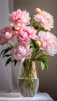 pink peonies in a vase on a white table cloth next to a window