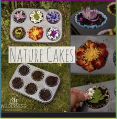 there are pictures of different cakes with flowers in them and the words nature cakes above it