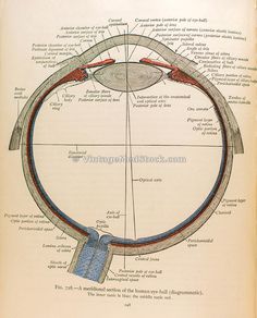 an old book with diagrams on the inside of it and some words in front of it