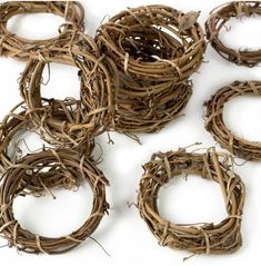 several birds nests made out of twigs on a white surface