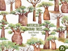 watercolor baobab trees hand painted clipart by creative arts and crafts for kids