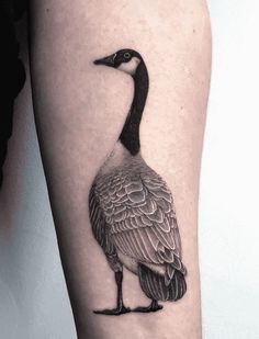 a black and white photo of a goose on the right thigh, with an inked image of a goose