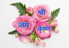 three pink flowers with the words in hindi on them