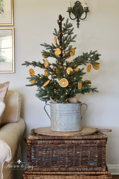 a potted christmas tree sitting on top of a table