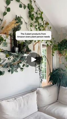 a living room filled with lots of plants on top of a white couch next to a window