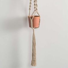 a potted plant hanging from a rope on the wall