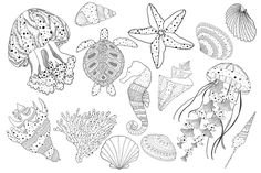 sea animals and starfishs are drawn in black and white on a sheet of paper