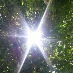 the sun shines brightly through some trees