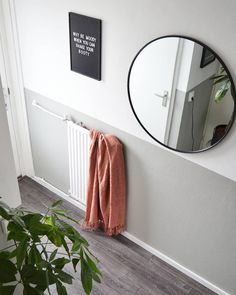 there is a mirror on the wall next to a towel rack and a potted plant