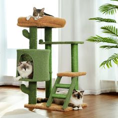 two cats sitting on top of a cat tree