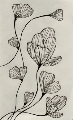 a drawing of three flowers on a white paper with the words love written in black ink