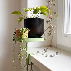 some plants are sitting on top of a shelf near a window and a potted plant