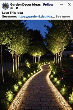 an image of a path that is lit up at night with lights in the trees