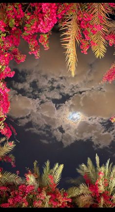 the night sky is full of clouds and bright pink flowers in front of palm trees